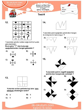 ilkokul 1. Sınıf Bilsem Zeka Testi 